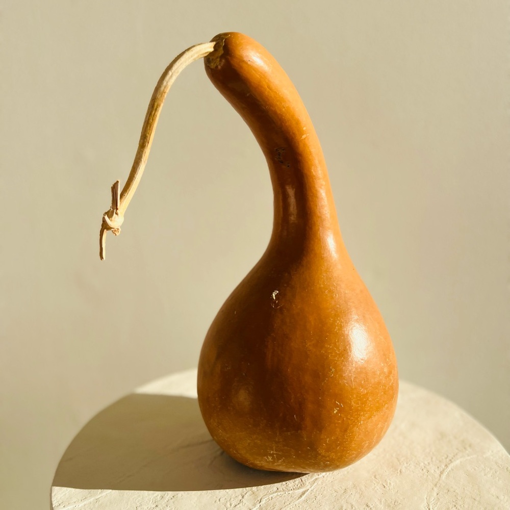 GORGEOUS DRIED ORGANIC‎ GOURD - BEAUTIFUL SHAPE AND COLOUR - Picture 2 of 5